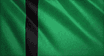 Delhi Sultanate flag