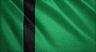 Delhi Sultanate flag