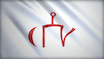 Golden Horde flag