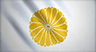 Japanese flag