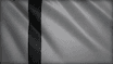 Tughlaq Dynasty flag