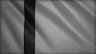 Tughlaq Dynasty flag